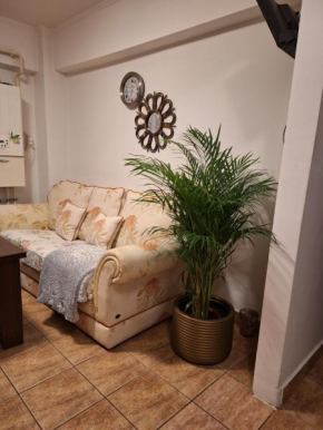 Apartament Florina